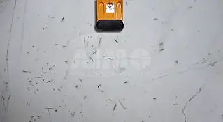 Pistachios Slabs Manufacturer