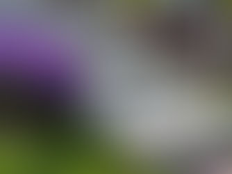 Outdoor granite steps with weather-resistant finish