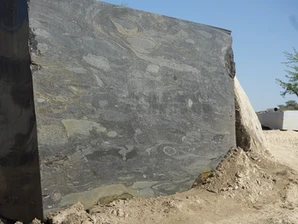 Indian Silver Leaf Quartzite, a material known for blending the sophistication of marble with the toughness of granite, from Aravali India Marbles & Granites.