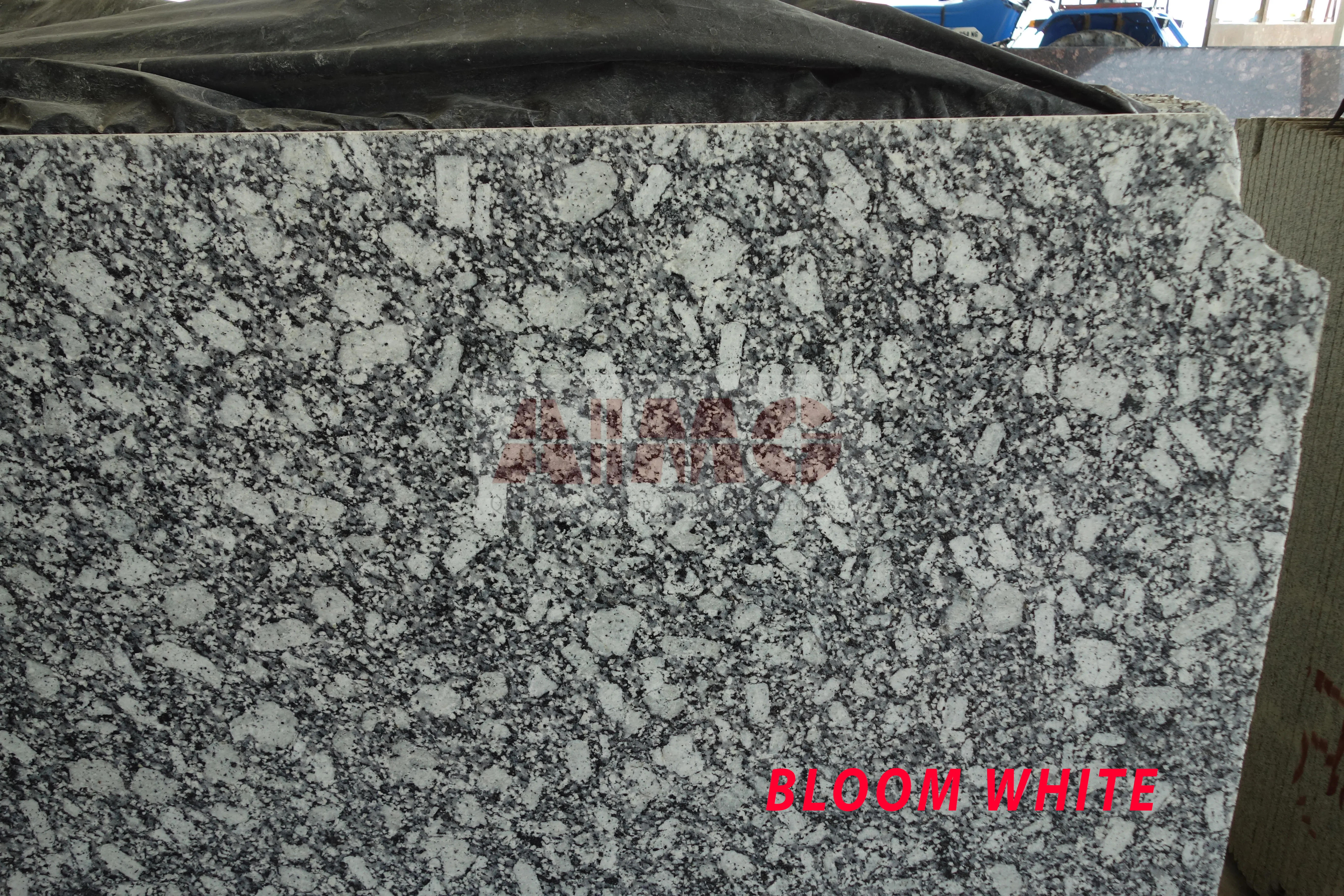 Bloom White Granite slab by Aravali Marbles featuring bold black and white mineral patterns for kitchen countertops and wall applications