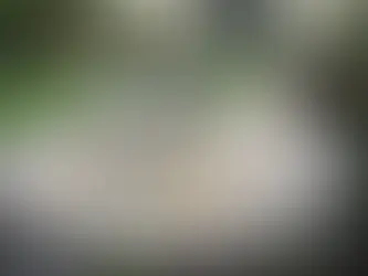 Designing Outdoor Patios with Natural Stone: A Technical Guide from Quarry to Installation