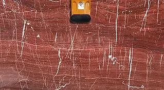 Flamingo Red Marble Slabs Manufacturer