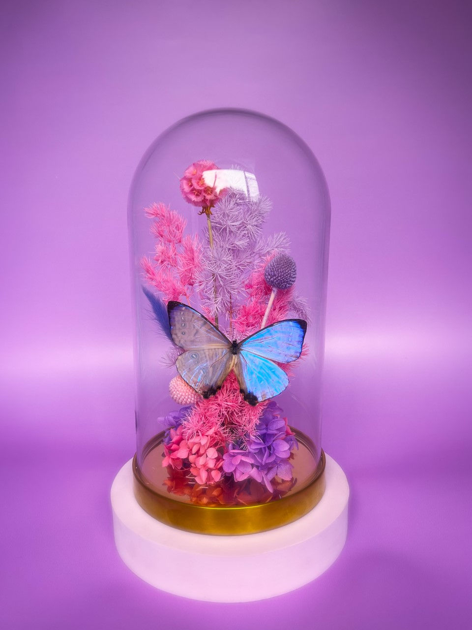 Thumbnail: Morpho of Pearl Pink & Purple Large Dome