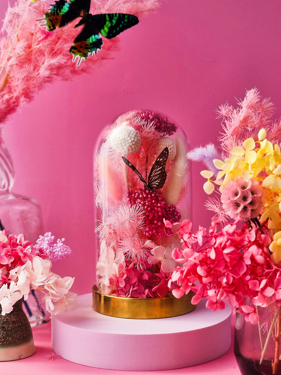 Cotton Candy Small Dome