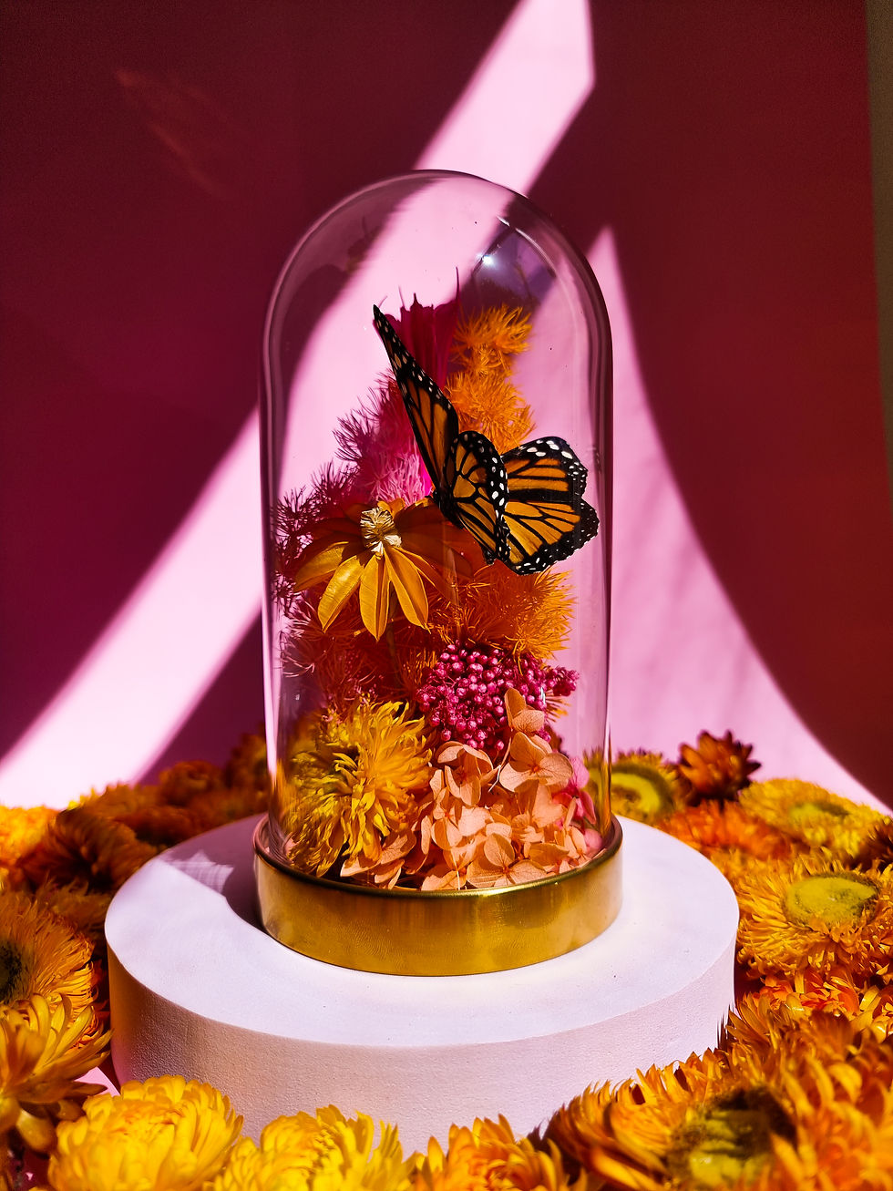 Thumbnail: Madame Monarch Sunshine Addition Small Dome