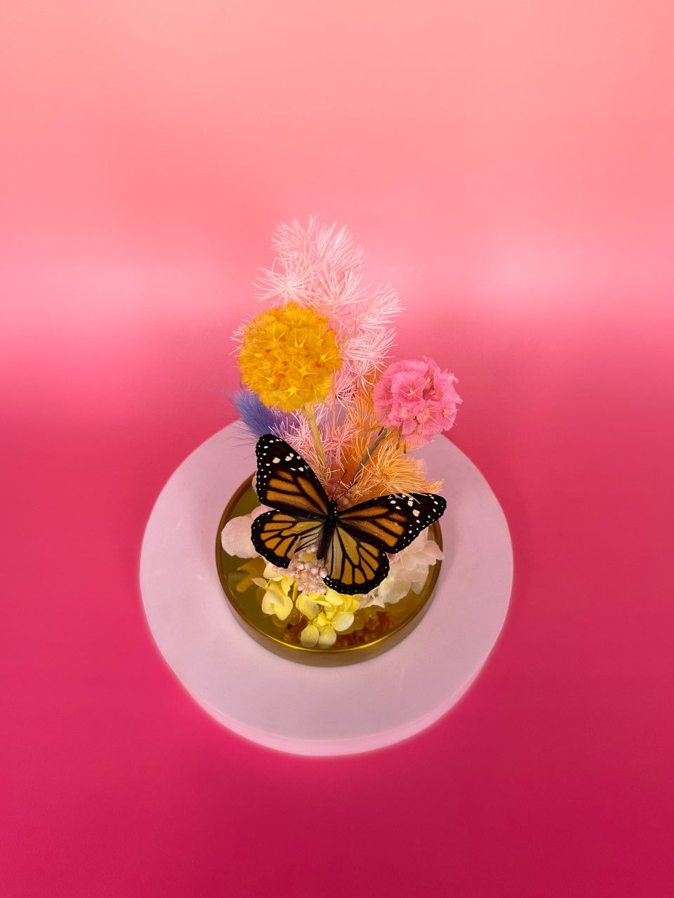 Thumbnail: Madame Monarch Pastel Addition Small Dome