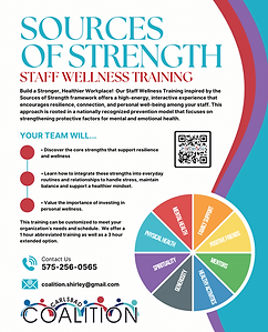Sources Workplace Flyer.png
