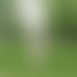 Spring Maternity Session // Goodrich, MI