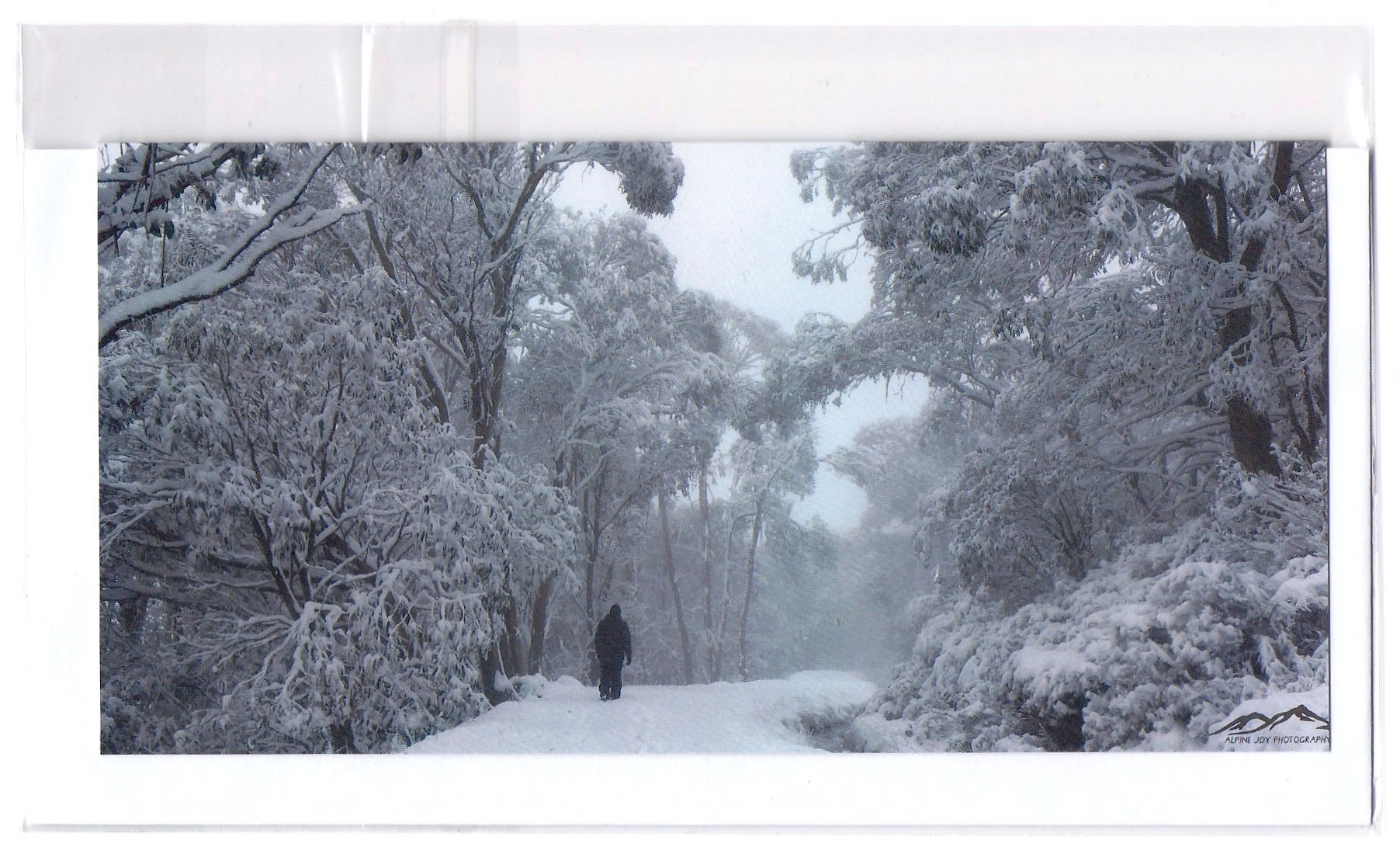 Card - Aqueduct Trail