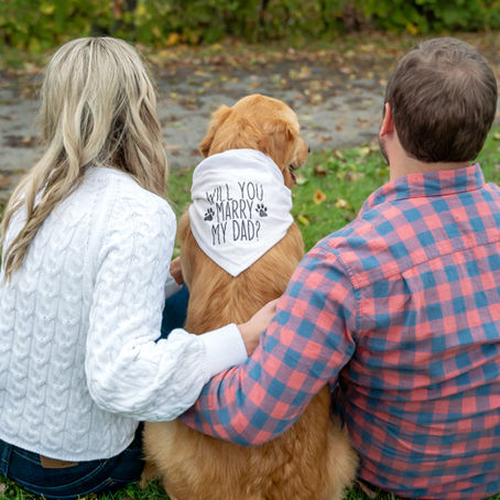 Beautiful Engagement Session in Rockford, Michigan // Katie and Joe