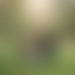 Beautiful Spring Family Portraits // Michigan