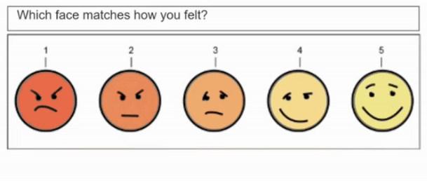 Smiley Face Usability Metric 3.gif