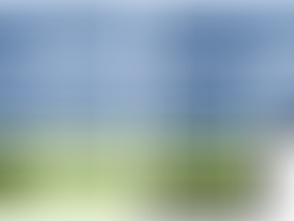 The Enterprise Architecture Capability Model (EACM)