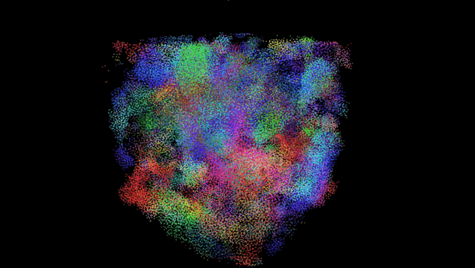 from_start_to_end (3) (3).gif