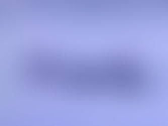 Un sauvetage pour le moins inusité au lac Bowker !