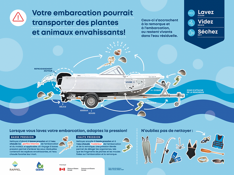 Pourquoi ne pas imprimer et afficher ce petit schéma comme "reminder" comme on dit en bon français.