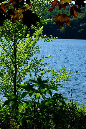 Photo - Devenir membre de l'association des propriétaires riverains du lac Bowker (APRLB) Orford, Cantons de l'Est, Québec