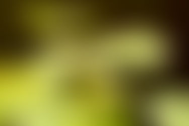 Nos nouveaux projets !