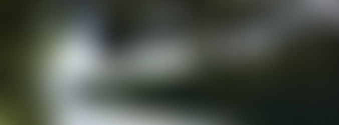 Nouvelle venue au conseil d'administration 