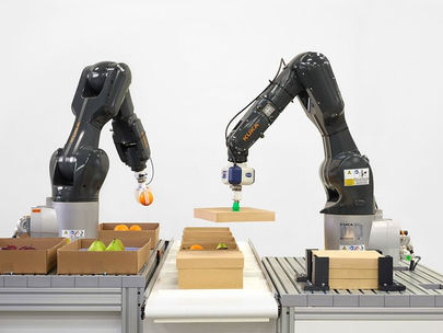 Intrinsic contrôle Vicarious.