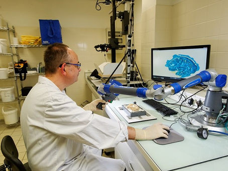 Le cerveau sous toutes les coutures