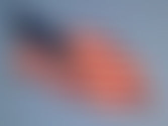 Les géants des réseaux bientôt taxé ?