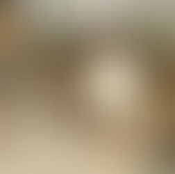 Quilombo: África en América