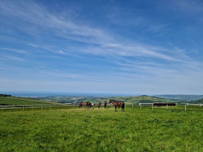 Cover Photo Final.jpg