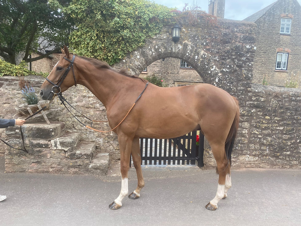 By Crystal Ocean_.jpg