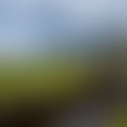 View of St Andrews Old Course in Scotland with the Swilcan Bridge, historic stone buildings, and manicured fairways under a cloudy sky, illustrating classic Scottish golf travel scenery.