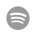 Grey Spotify Icon