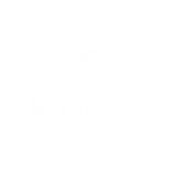 MEKARCUBE LOGO.png
