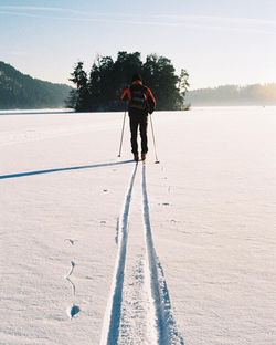 16908879_259767237808090_4632186631770603520_n