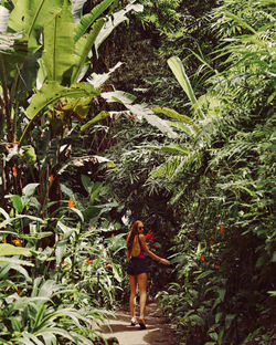 28434795_600588583616472_7727382576301604864_n