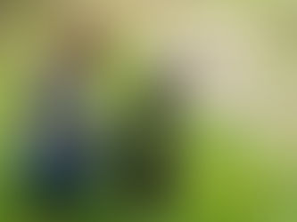 Auszug aus dem Wahlprogramm für Petershagen/ Eggersdorf Teil 3