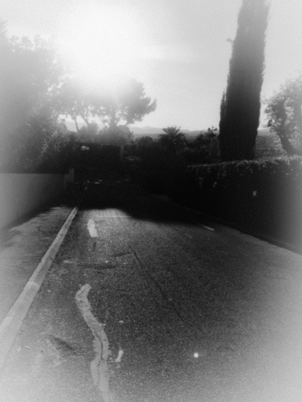 StephBach - Pas si simple