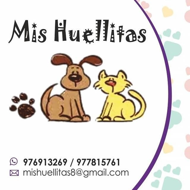 Foto del escritor: JM FE MIS HUELLITAS
