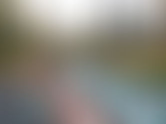 Road Trip Chronicles