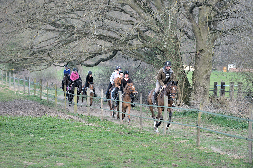 Promenade à poney