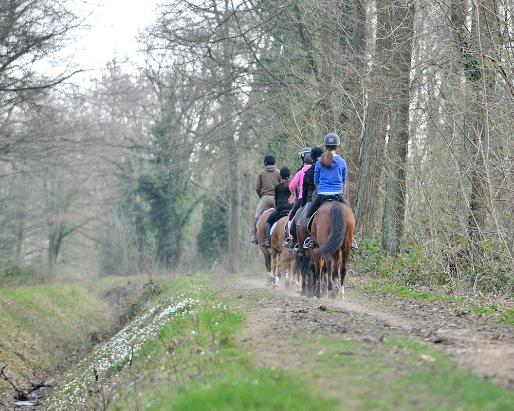 Promenade à poney