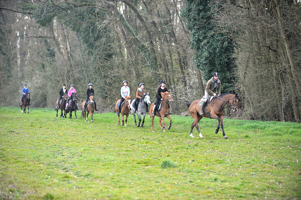 Promenade à poney