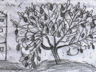 ARTESANATO PARA IPATINGA _ consultant