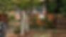 Image 4-22-24 at 9.44 AM.jpeg