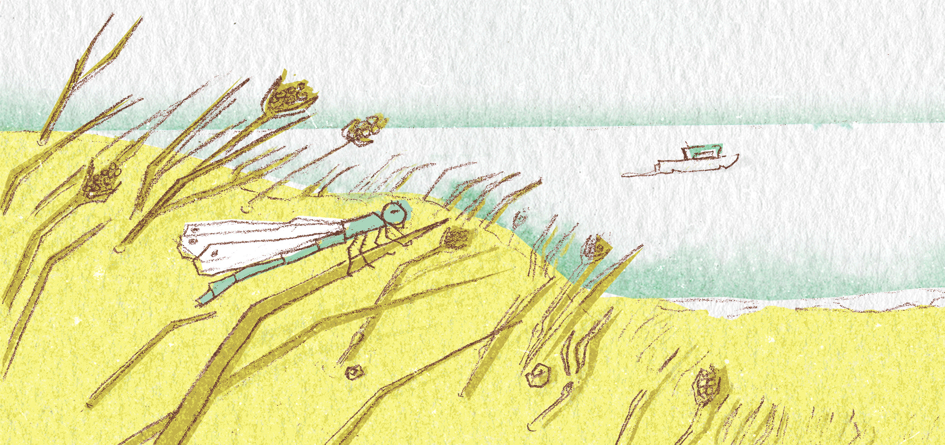 summer3.gif