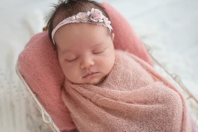 Rose amoung the thorns illawarra newborn photography nina photography wollongong Rose amoung the thorns illawarra newborn photography nina photography wollongong