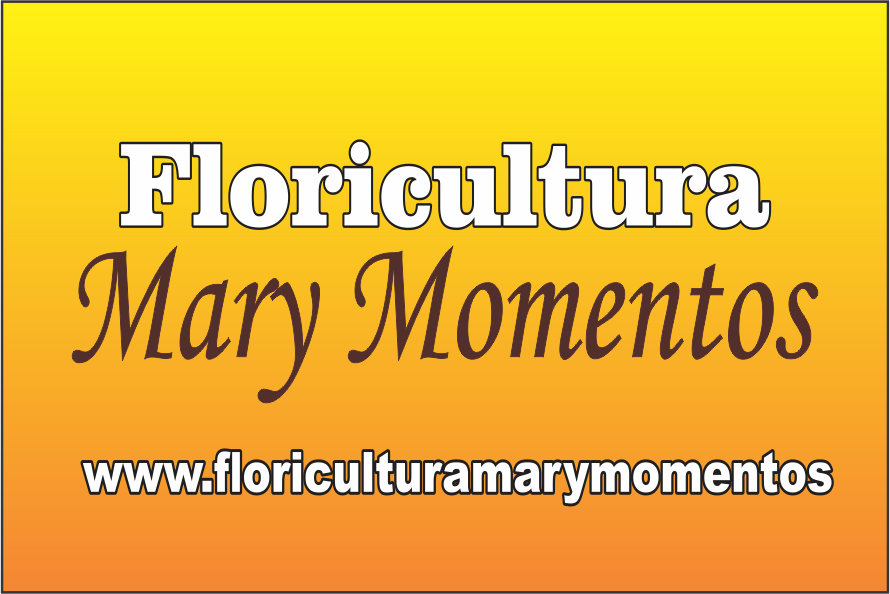 FLORICULTURA MARY MOMENTOS