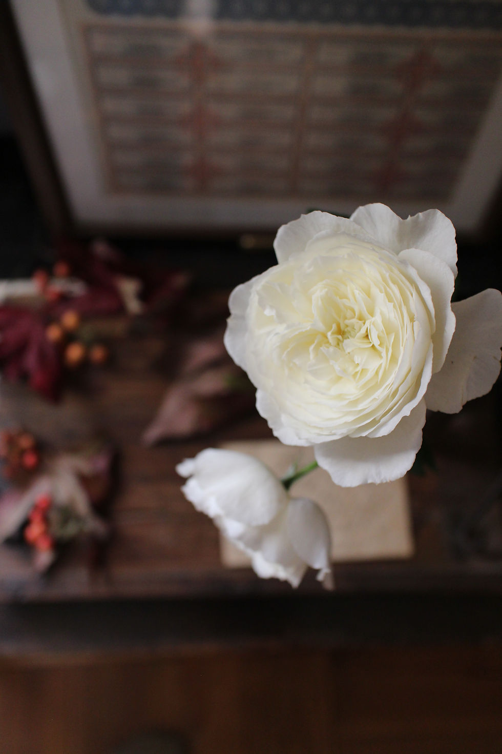 11月レッスン日程とメニュー