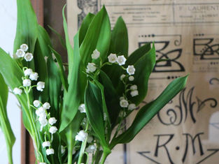 12mois de fleursのご案内