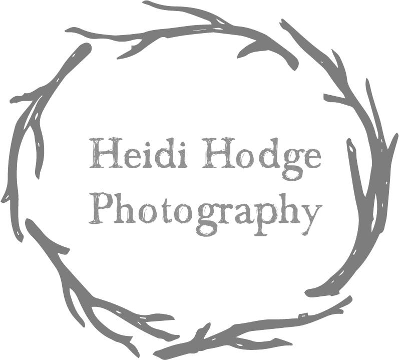 Heidi Hodge Photography