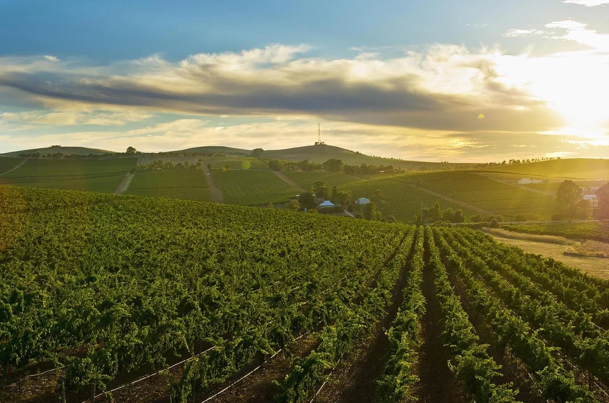 Clare Valley is home to a winemaking history of over 160 years and with more than 35 wineries and cellar doors dotted throughout the region